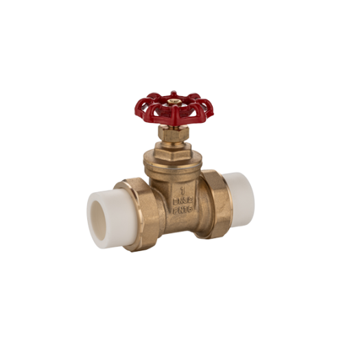 PPR Gate Valve